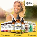 wild-organic-turmeric-supplement-liquid--5.jpg