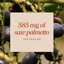 nature-s-way-saw-palmetto-berries-tradit-4.jpg