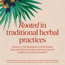 nature-s-way-saw-palmetto-berries-tradit-3.jpg