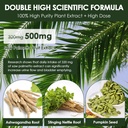 totaria-2pack-organic-saw-palmetto-prost-4.jpg