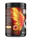 underground-bio-labs-panda-burn-max-enha-3.jpg
