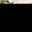 nature-s-sunshine-ashwagandha-60-vegcaps-2.jpg