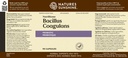 nature-s-sunshine-bacillus-coagulans-nut-4.jpg
