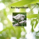 nature-s-sunshine-valerian-root-extract--3.jpg