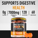 fiber-gummies-for-adults-sugar-free-120--2.jpg