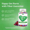 vita-globe-prebiotic-fiber-gummies-with--5.jpg