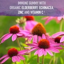 garden-of-life-organics-elderberry-gummi-2.jpg