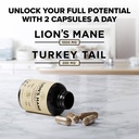 lion-s-mane-mushroom-supplement-capsules-2.jpg