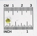 bach-rescue-sleep-liquid-melts-dissolvab-3.jpg