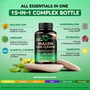 mullein-lung-detox-mullein-leaf-extract--5.jpg