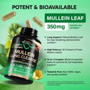 mullein-lung-detox-mullein-leaf-extract--4.jpg