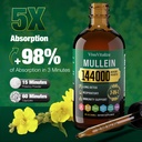mullein-drops-for-lungs-144000mg-mullein-4.jpg