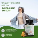adv-pure-lung-lung-cleanse-and-detox-her-3.jpg