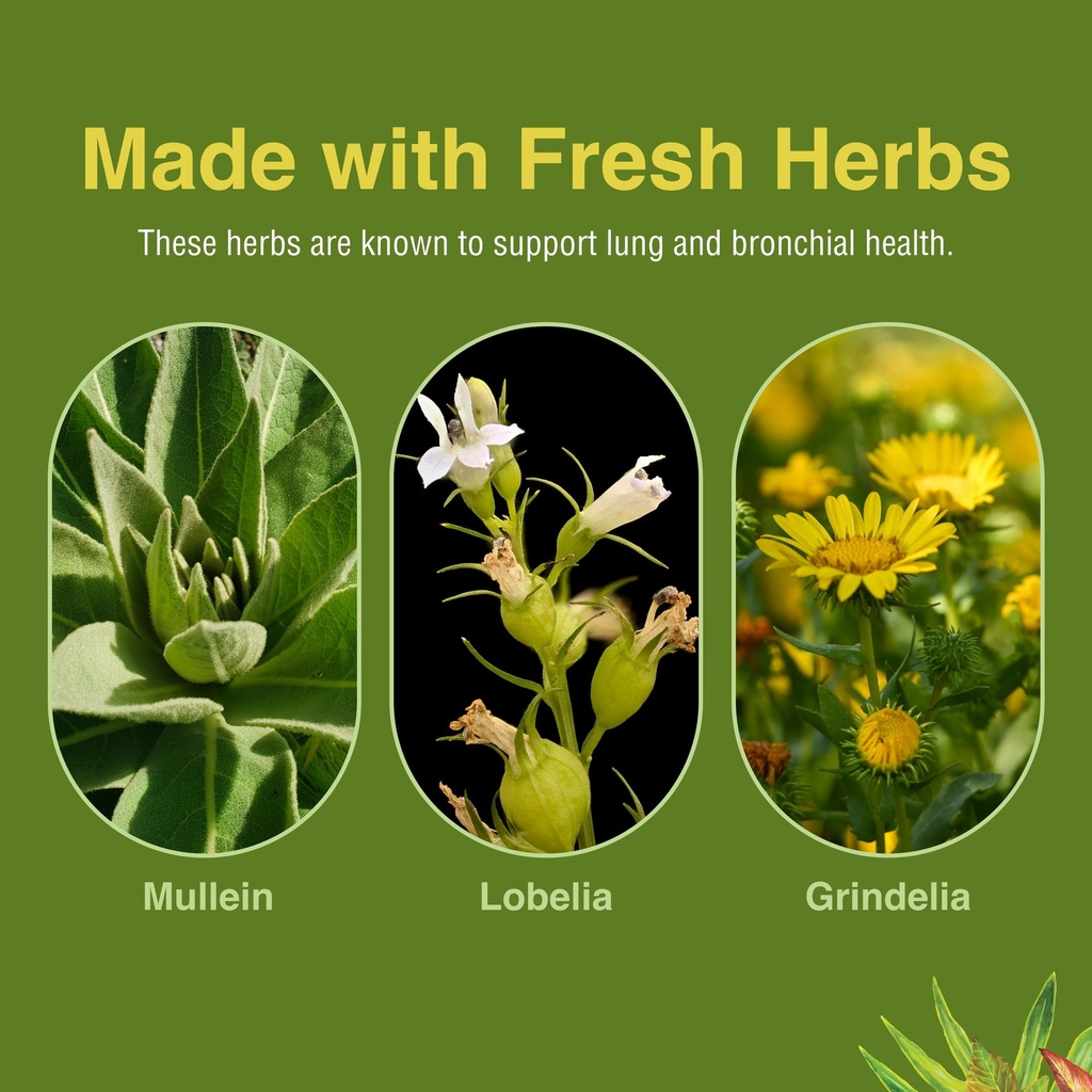 herbs-etc-lung-tonic-softgels-herbal-sup-6.jpg