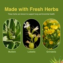 herbs-etc-lung-tonic-softgels-herbal-sup-6.jpg