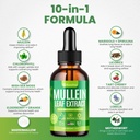 mullein-drops-for-lungs-10-in-1-mullein--2.jpg