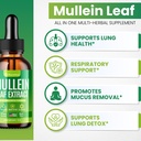 mullein-drops-for-lungs-10-in-1-mullein--3.jpg