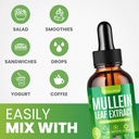 mullein-drops-for-lungs-10-in-1-mullein--4.jpg