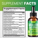 mullein-drops-for-lungs-10-in-1-mullein--6.jpg