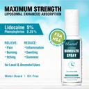 ebanel-bundle-of-lidocaine-numbing-spray-2.jpg