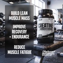 nutrex-research-creatine-monohydrate-pow-2.jpg