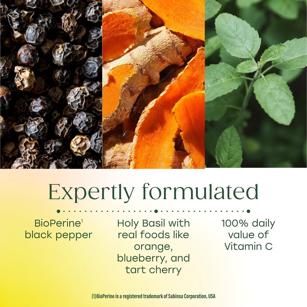 megafood-daily-turmeric-powder-nutrient--4.jpg