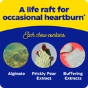 enzymedica-heartburn-soothe-chewable-sup-6.jpg