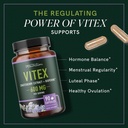 vitex-chasteberry-supplement-600mg-agnus-2.jpg