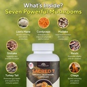 naturealm-sacred-7-mushroom-supplement-c-3.jpg