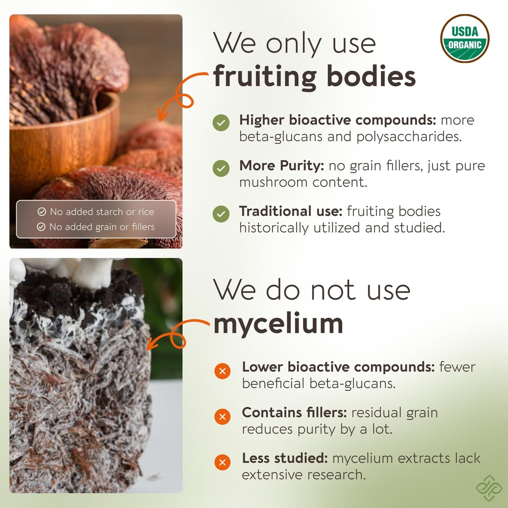 longevity-botanicals-organic-reishi-mush-5.jpg