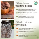 longevity-botanicals-organic-reishi-mush-5.jpg