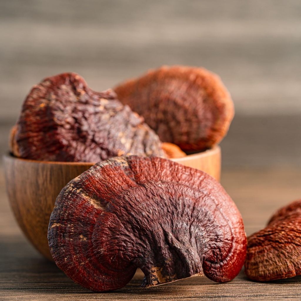 earthborn-elements-reishi-mushroom-200-c-4.jpg