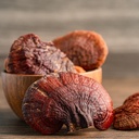 earthborn-elements-reishi-mushroom-200-c-4.jpg