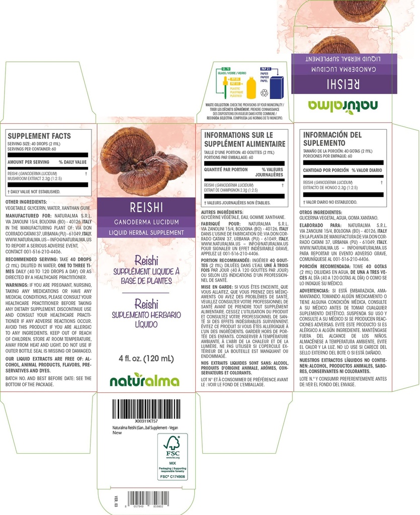 naturalma-reishi-ganoderma-lucidum-fungu-2.jpg