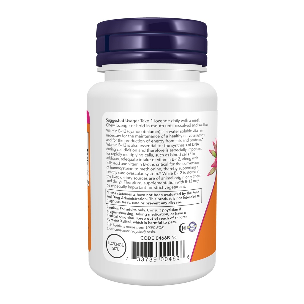 now-supplements-vitamin-b-12-1-000-mcg-w-3.jpg