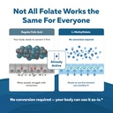 l-methylfolate-7-5mg-plus-methyl-b12-act-4.jpg