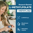 l-methylfolate-7-5mg-plus-methyl-b12-act-2.jpg