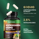 built-by-nature-ashwagandha-supplement-e-3.jpg