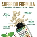 ashwagandha-supplements-premium-ashwagan-5.jpg
