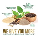 ashwagandha-supplements-premium-ashwagan-6.jpg