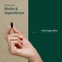 gaia-herbs-pro-ashwagandha-700-healthy-i-4.jpg