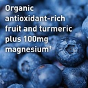 garden-of-life-sport-organic-plant-based-4.jpg