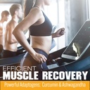 post-workout-gummies-recovery-accelerato-4.jpg