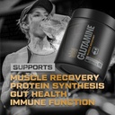 hosstile-glutamine-fermented-l-glutamine-2.jpg