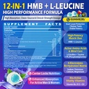 hmb-and-l-leucine-gummies-pre-work-essen-2.jpg