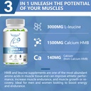 2-packs-hmb-and-leucine-supplements-gumm-3.jpg