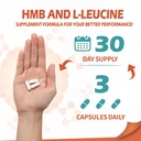 abyssus-leucine-hmb-supplements-3000mg-f-5.jpg