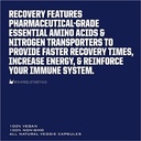 ryno-power-recovery-post-workout-supplem-4.jpg