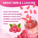 meenccd-hmb-and-l-leucine-gummies-hmb-an-4.jpg
