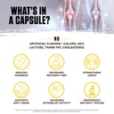 ambrosia-mwendo-joint-support-supplement-3.jpg